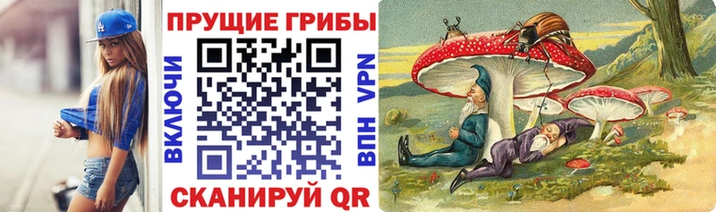 Псилоцибиновые грибы Psilocybe mega зеркало Вилюйск
